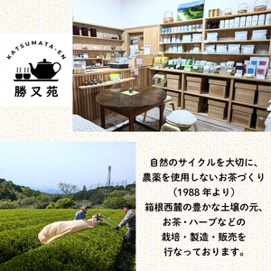 日本茶 緑茶 400g (200g×2袋) 栽培期間中 農薬不使用 茶葉