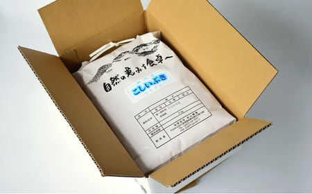 【令和7年産米】こしいぶき 白米 5kg 新潟米 [Y0612]