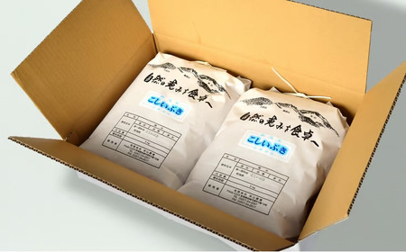 【令和7年産米】こしいぶき 白米 10kg（5kg×2袋） 新潟米 [Y0613]