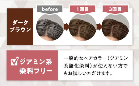 シエロ カラートリートメント リタッチ用 ダークブラウン 3個 / CIELO 白髪染め セルフカラー 部分染め ヘアケア / 瀬戸市 / ホーユー株式会社 [BBEL010]