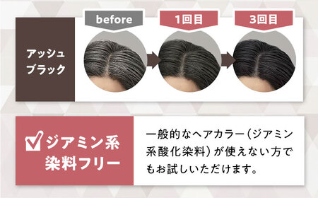 シエロ カラートリートメント リタッチ用 アッシュブラック 3個 / CIELO 白髪染め セルフカラー 部分染め ヘアケア / 瀬戸市 / ホーユー株式会社 [BBEL011]