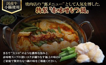 【6か月定期便】国産もつ鍋 赤味噌４～6人前　300g×2 | 牛肉 国産牛 牛ホルモン モツ 鍋 冷凍 京都