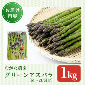 《数量・期間限定》朝採り グリーンアスパラ(1kg・ M～2L混合)【2026年4月下旬以降発送予定】アスパラガス アスパラ 北海道産 野菜 朝採り 産地直送 新鮮野菜 【おがた農園】【B7076】