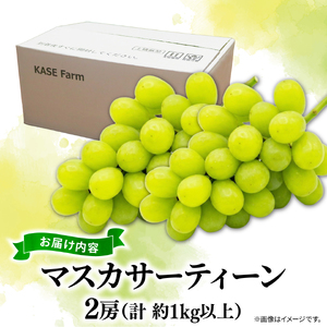 訳あり マスカサーティーン 2房 1kg 以上 数量限定 種なし
