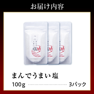 輪島の天然塩！まんでうまい塩×3パック【南谷良枝商店】 wa058-007