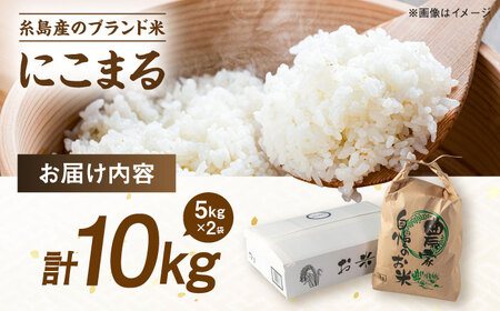【令和7年産】【スピード発送】にこまる  白米 10kg(10キロ) 糸島市産 糸島市 / 糸島の恵み [AGR002] お米 