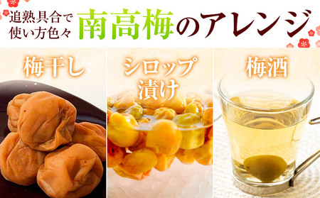 梅 紀州南高梅 2kg FARMER'S FARMER《6月上旬-7月中旬頃出荷》和歌山県 紀の川市 うめ 南高梅 青梅 紀の川市産