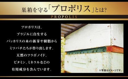 【8回定期便】 ローヤルゼリー ＆ プロポリス入り マヌカ蜜 500g （合計4kg） ／ 杉養蜂園 蜂蜜 はちみつ ハチミツ アミノ酸 ビタミン デセン酸 フラボノイド ビタミン ミネラル 定期便 熊本県 熊本市
