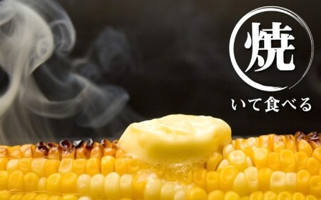  とうもろこし ゴールドラッシュ 約3.5kg～約4kg （ 8～15本 ） M～特サイズ【 2026年6月上旬から7月下旬まで順次発送予定 】  トウモロコシ 野菜 やさい フルーツコーン