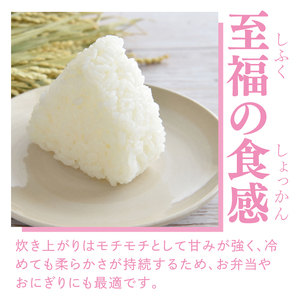【無農薬米日本一コンテスト2年連続金賞】【谷田部農産】立神米 無農薬 こしひかり（白米）5kg｜茨城県 大子町 コシヒカリ 米 無農薬 コンテスト 受賞 生産者 大子産米 産地直送 令和7年産（BT081）
