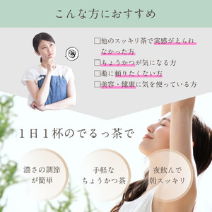 日本第一製薬　どっさりでるっ茶1袋30包入（ノンカフェイン）