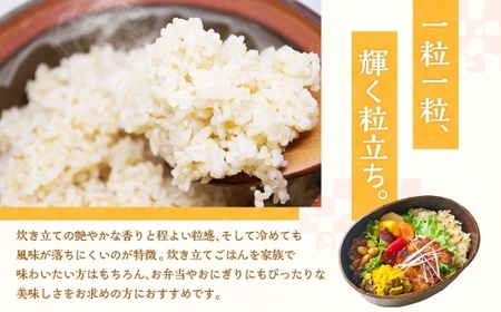 【10営業日発送】【令和7年産】静岡県産コシヒカリ 玄米 5kg （5kg×1袋） 【2026年8月下旬迄順次発送予定】 コシヒカリ こしひかり  米 コメ こめ ご飯 ごはん 菊川市 静岡県