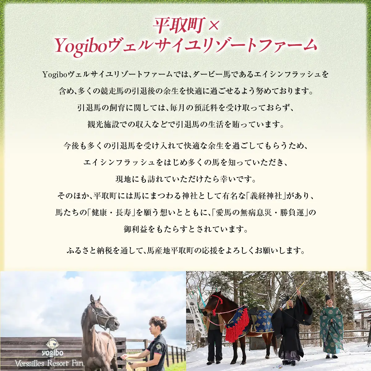 【アドマイヤジャパン×Yogibo】Ｔシャツ_XLサイズ（ブラック） BRTV036-4