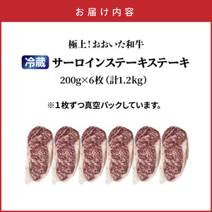 冷蔵発送/おおいた和牛サーロインステーキ1.2kg_1792R-6