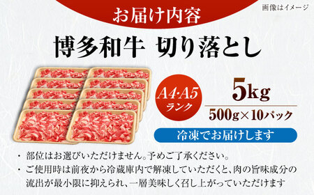【訳あり】【A4〜A5】博多和牛 切り落とし 5kg（500g×10個）[VDZ156]