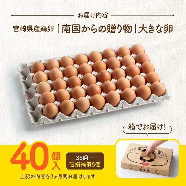 【3ヶ月定期便】 宮崎県産鶏卵 「南国からの贈り物」大きな卵40個入り（35個+破損補償5個）【たまご 卵 玉子 タマゴ】