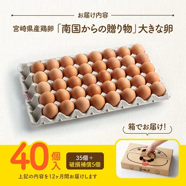 【12ヶ月定期便】宮崎県産鶏卵　「南国からの贈り物」大きな卵40個入り（35個+破損補償5個）【たまご 卵 玉子 タマゴ】