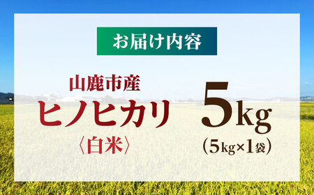 【先行予約】 令和8年度産 ヒノヒカリ 白米 5kg 【奥村果実園】[ZFK009]