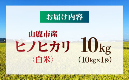【先行予約】 令和8年度産 白米 ヒノヒカリ 10kg 【奥村果実園】 熊本 [ZFK010]