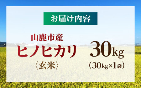 【先行予約】 令和8年度産 ヒノヒカリ 玄米 30kg 【奥村果実園】[ZFK011]
