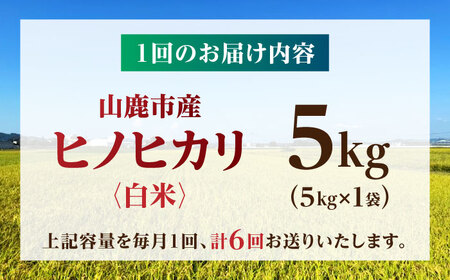 【先行予約】【6回定期便】山鹿市産 ヒノヒカリ 白米  5kg 【奥村果実園】[ZFK013]
