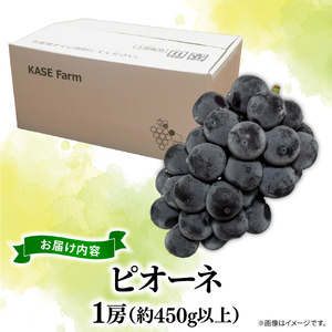 訳あり ピオーネ 1房 450g 以上 ぶどう 数量限定 種なし ぶどう