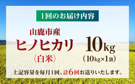 【先行予約】【6回定期便】山鹿市産 ヒノヒカリ 白米  10kg 【奥村果実園】[ZFK015]