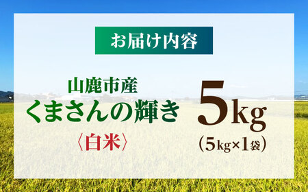 【先行予約】くまさんの輝き 5kg 白米 山鹿市産【奥村果実園】[ZFK016]