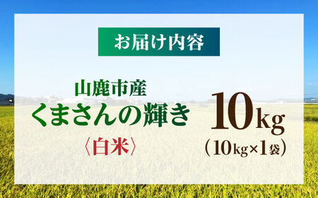 【先行予約】くまさんの輝き 10kg 白米 山鹿市産【奥村果実園】[ZFK017]