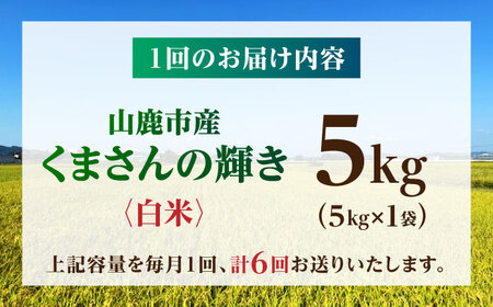 【先行予約】【6回定期便】くまさんの輝き 白米  5kg 山鹿市産 【奥村果実園】[ZFK020]