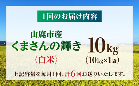 【先行予約】【6回定期便】くまさんの輝き 白米  10kg 山鹿市産【奥村果実園】[ZFK022]