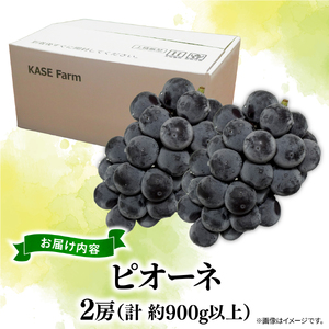 訳あり ピオーネ 2房 計 900g 以上 ぶどう 数量限定 種なし ぶどう