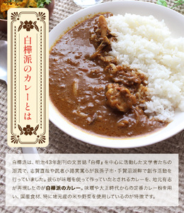 白樺派のひとさじキーマカレー 105g × 5本 株式会社風土食房《30日以内に出荷予定(土日祝除く)》千葉県 我孫子市 調味料選手権 味噌 豚肉 ごはん パン 麺 カレー スパイシー