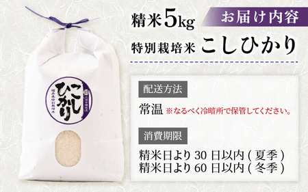 【令和7年産】坂井市産 特別栽培米 こしひかり 5kg 精米 コシヒカリ お米 こめ ご飯 人気 品種 ブランド米 数量限定 [A-6119]