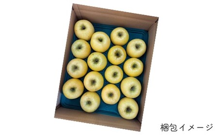 ＼ 予約受付 26年10月下旬から発送開始予定 ／【北上市産】シナノゴールド 【家庭用】 りんご 2.5kg 国産 東北 岩手 林檎 リンゴ 訳あり 果物 フルーツ しなの ゴールド 産地直送 送料無料 旬 秋 冬 金鈴園 岩手県 北上市 B0440