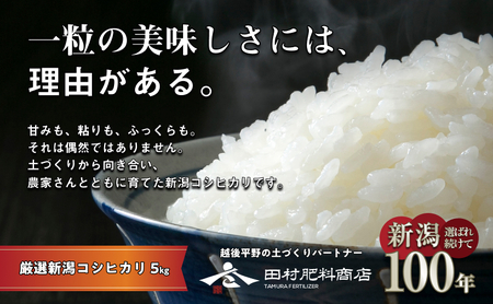 【先行予約】R8年産新潟産コシヒカリ5kg