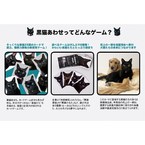 難易度MAXのツンデレ仕様！黒猫あわせ