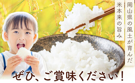 岡山県産 こしひかり 10kg(5kg×2袋) 無洗米 全農パールライス株式会社《30日以内に出荷予定(土日祝除く)》 岡山県 浅口市 送料無料 こめ 無洗米 コシヒカリ