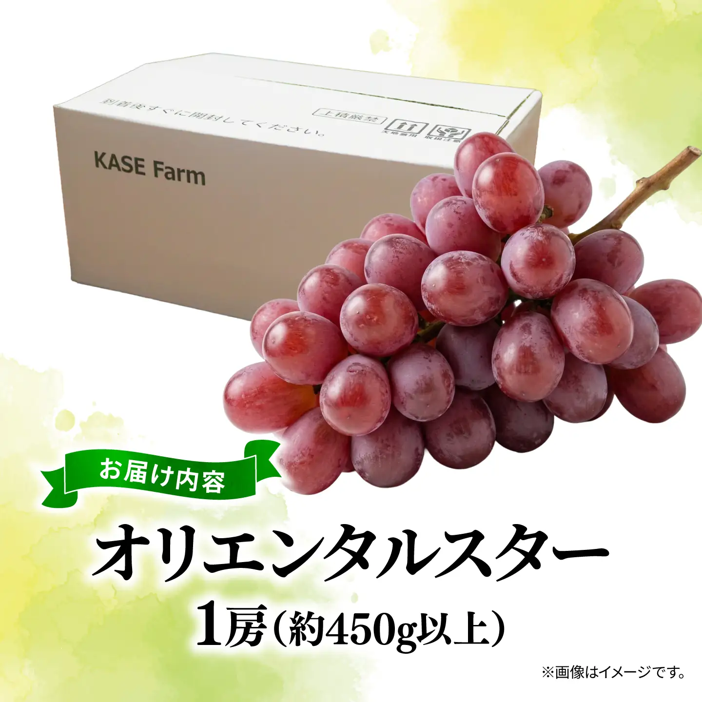 訳あり ぶどう オリエンタルスター 1房 450g 以上 数量限定 種なし ぶどう