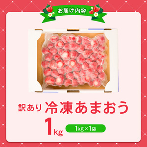 増永農園 訳あり冷凍あまおう 1kg 〔Fi081-02〕