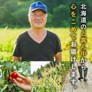 ＜期間限定＞天塩川源流スイートコーン 品種いろいろ詰め合わせ (6本) 【2026年8月下旬より順次発送】 北海道産 北海道 士別市 とうもろこし トウモロコシ とうきび コーン 野菜 産地直送 【三栄アグリ】【A7136】