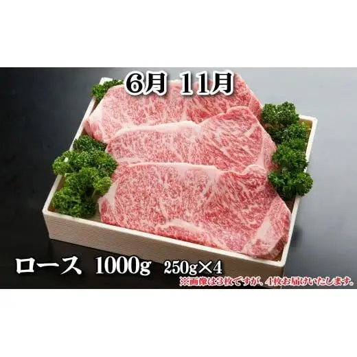 神戸牛 定期便「松」コース 全６回 TK松 [1217]