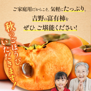 富有柿〈家庭用〉 約4kg（S～Lサイズ混載）  |  先行予約 大人気 人気 富有 柿 かき フルーツ 果物 辰巳果樹園 ギフト おすすめ 10月 11月 発送 カキ 秋の味覚 旬 甘い 大容量 農家直送 産地直送 グルメ お取り寄せ 送料無料  食物繊維 豊富 美容 健康 | 奈良県 五條市