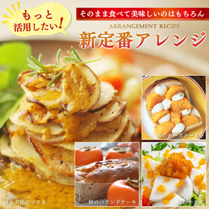 たねなし柿〈家庭用〉 約7.5kg（S～Lサイズ混載） |  先行予約 大人気 人気 たねなし 柿 かき フルーツ 果物 辰巳果樹園 ギフト おすすめ カキ 秋の味覚 旬 甘い 大容量 農家直送 産地直送 グルメ お取り寄せ 送料無料  食物繊維 豊富 美容 健康 | 奈良県 五條市
