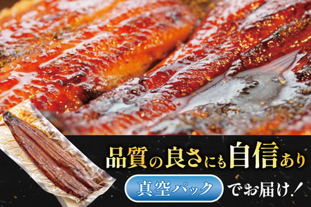 うなぎ 国産 静岡 うなぎ蒲焼 白焼 各130g 以上 各 1尾 計 2尾 タレ 山椒 付き [大井川うなぎ 静岡県 吉田町 22424701 ]
