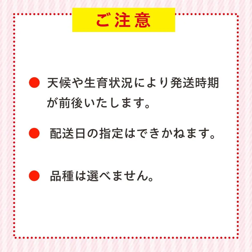 AK00-003 冷凍いちご 2袋セット