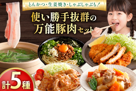 AJ666 島原育ちの豚肉セット 計4.5kg 