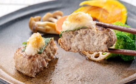 鹿児島県産黒豚使用生ハンバーグ 8個セット 黒豚 豚 豚肉 肉 お肉 にく ニク ハンバーグ 料理 国産 鹿児島県産 冷凍 ジューシー