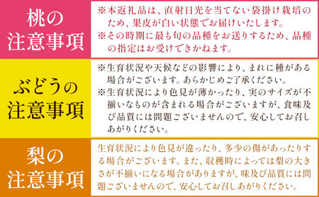 岡山県の贅沢フルーツ定期便 全5回