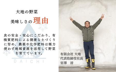 枝豆 高原茶豆 1kg（200g×5袋）雪室予冷 | 津南町